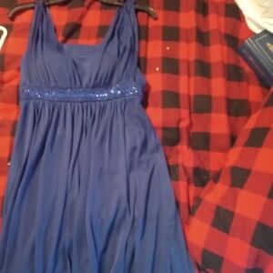 Elegant Blue  Dress